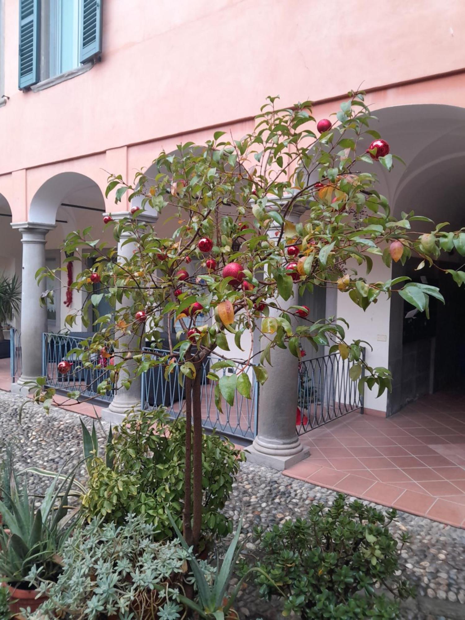 La Corte Dei Cappuccini Bergamo Eksteriør billede
